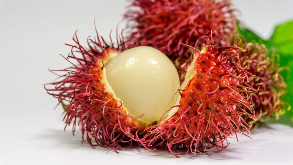 rambutan fruit in weird fruits you may not know exist