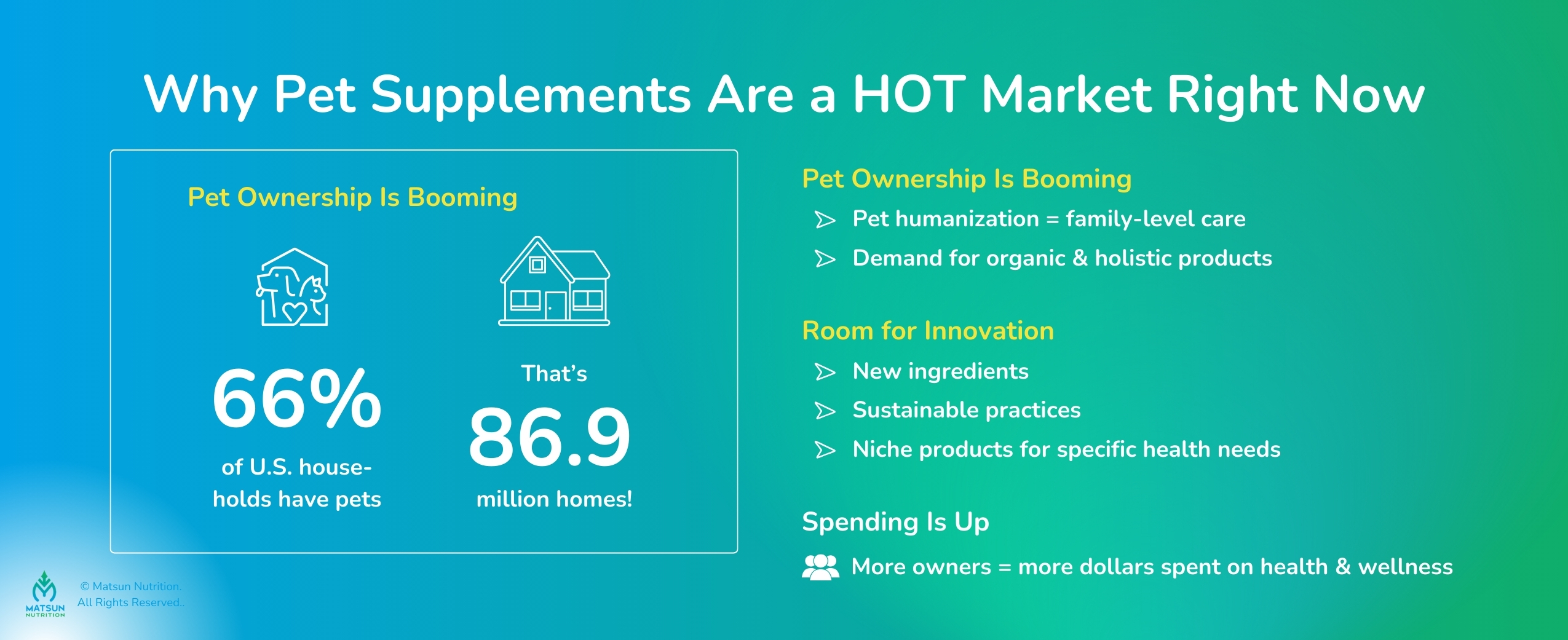 Why Pet Supplement Market Growing