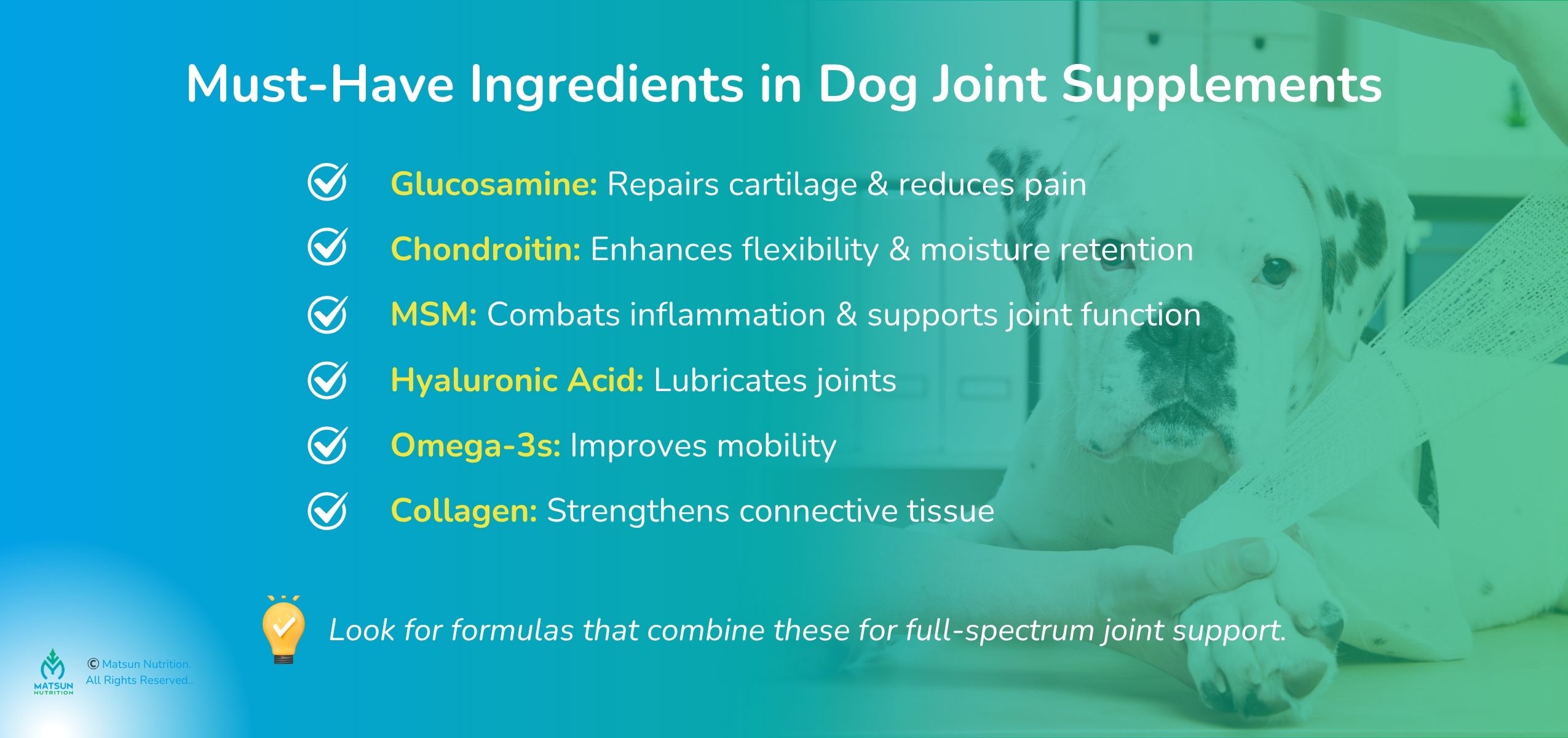 Must have ingredients in dog joint supplements