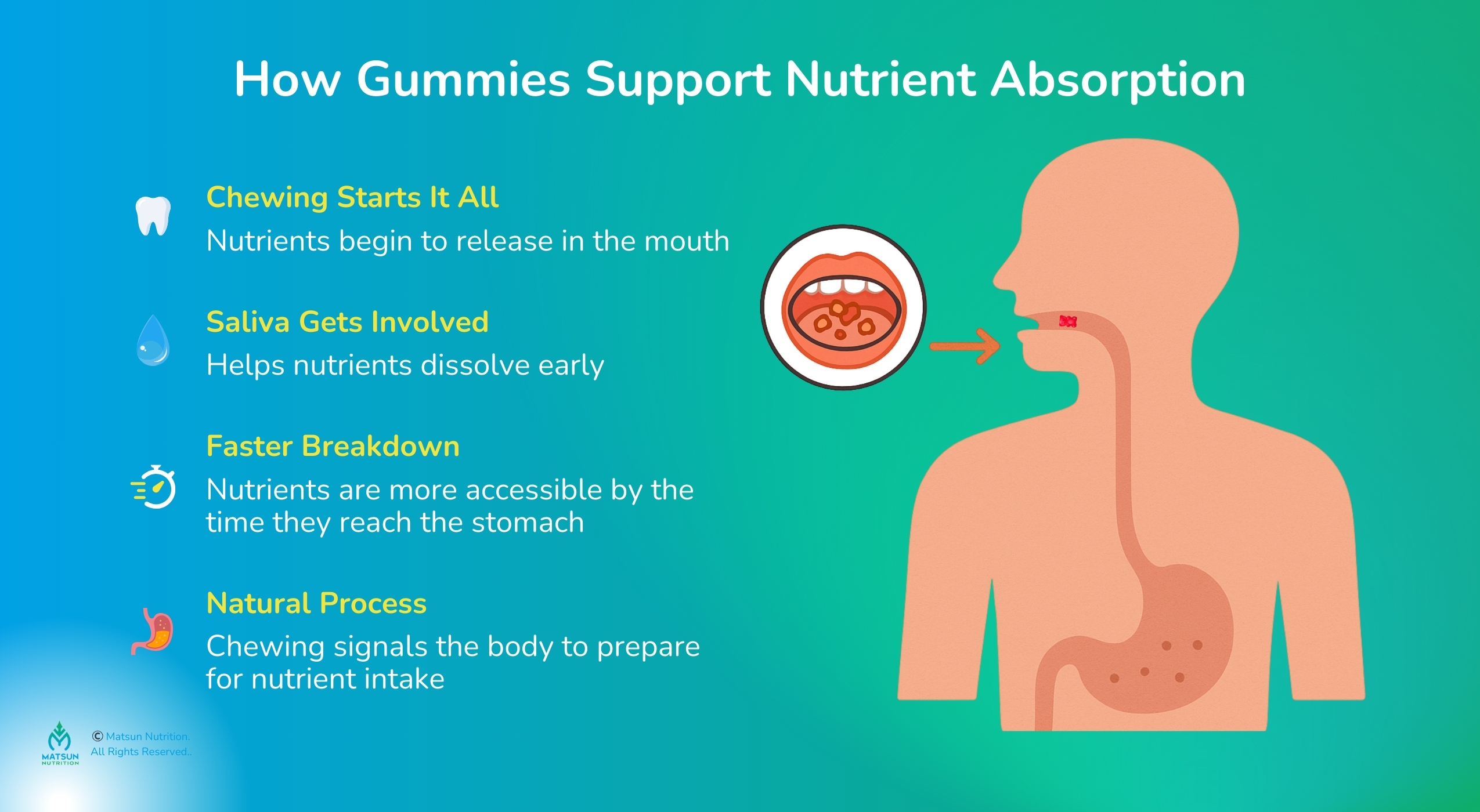 Gummies support nutrient absorption