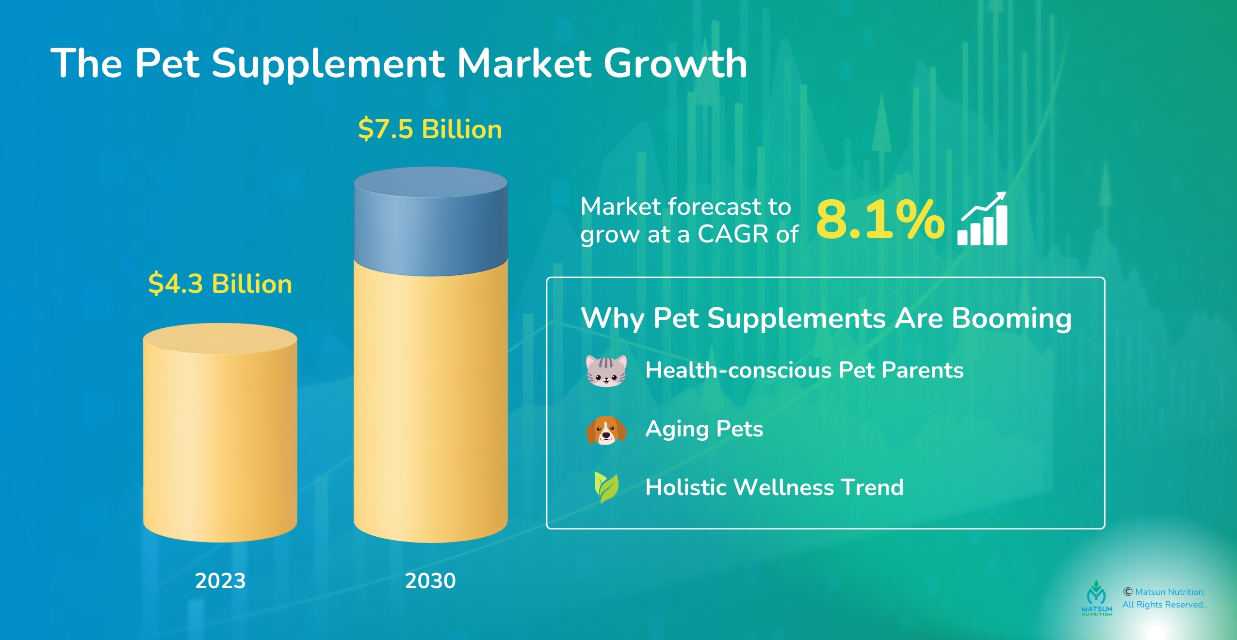 Pet Supplements Market Growth and Demand