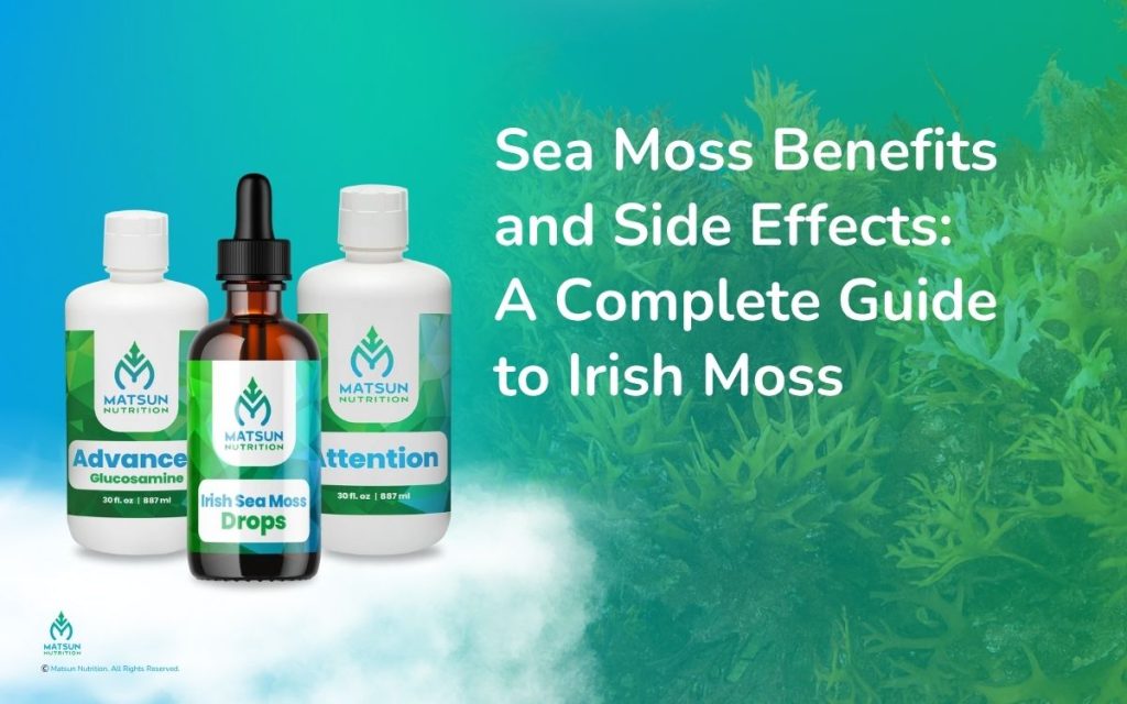 Sea Moss Benefits and Side Effects: A Complete Guide to Irish Moss