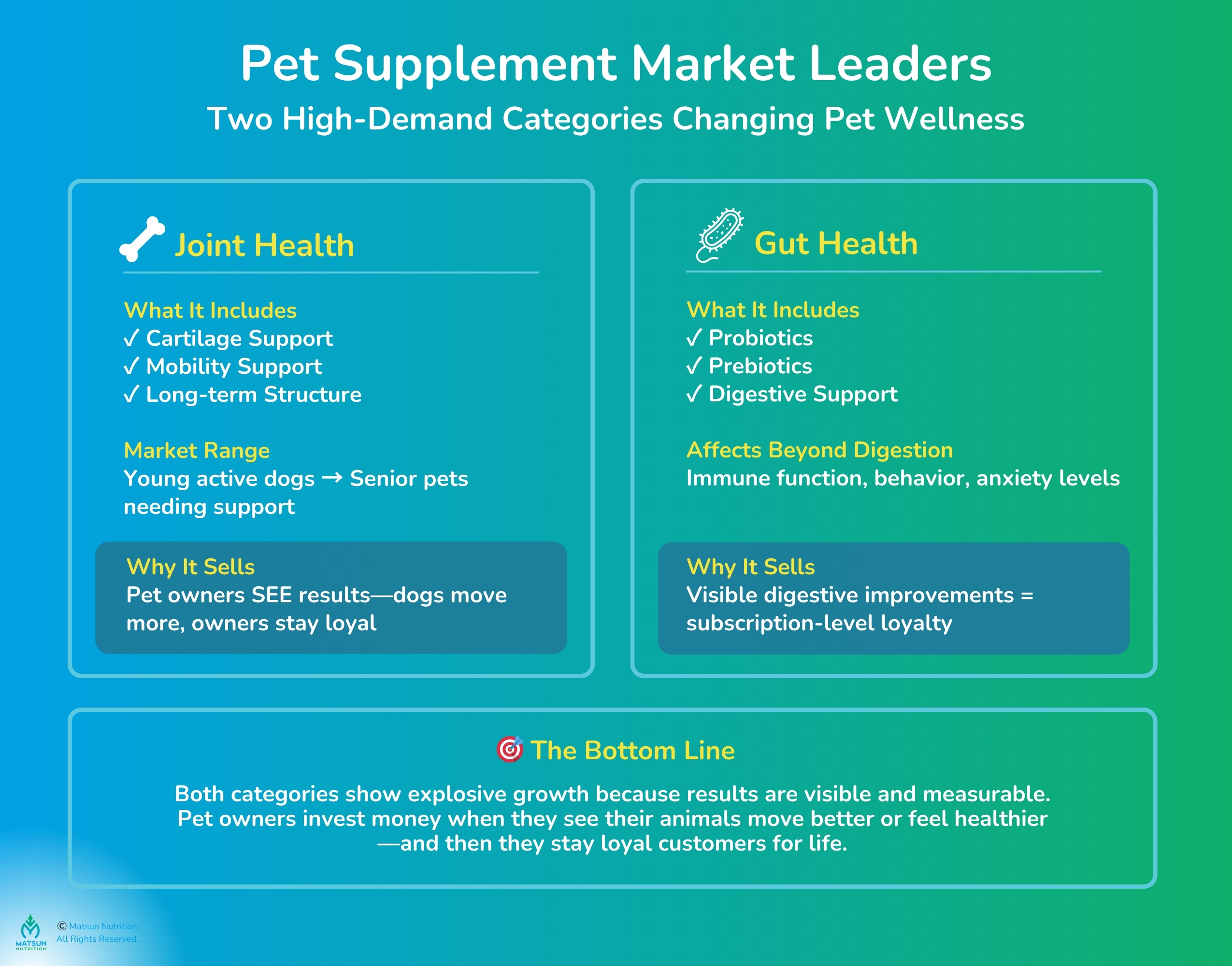 Pet Supplement Market Leader
